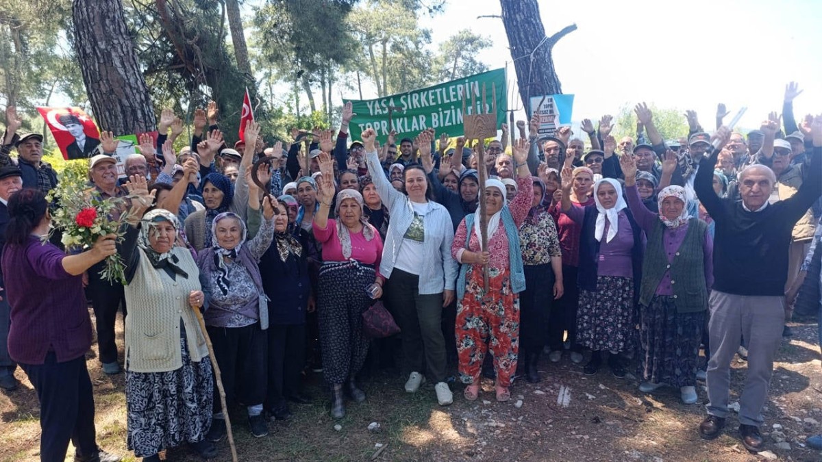 Danıştay, Akbelen’de Acele Kamulaştırmanın Durdurulmasına Karar Verdi 