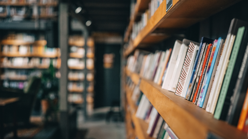 Yapay zekâ için kitap avı mı? İkinci el piyasasında gizemli hareketlilik