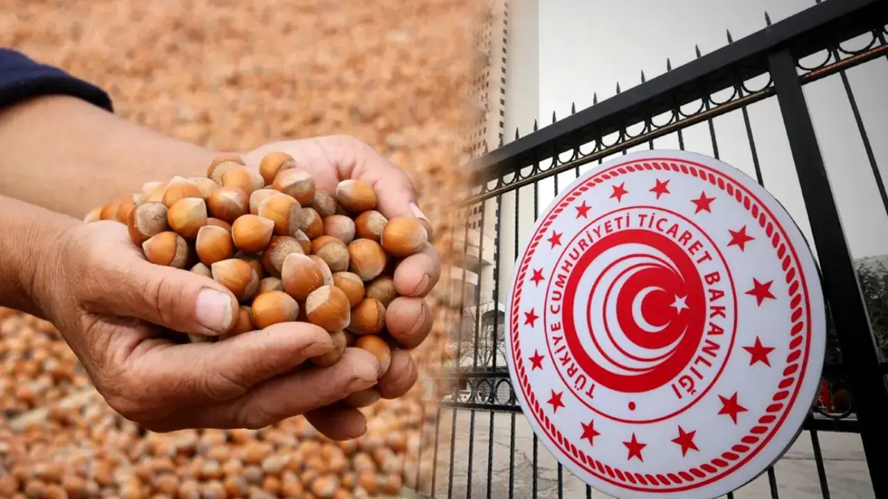 Fındık piyasası için düğmeye basıldı: Bakanlık müfettiş görevlendirdi