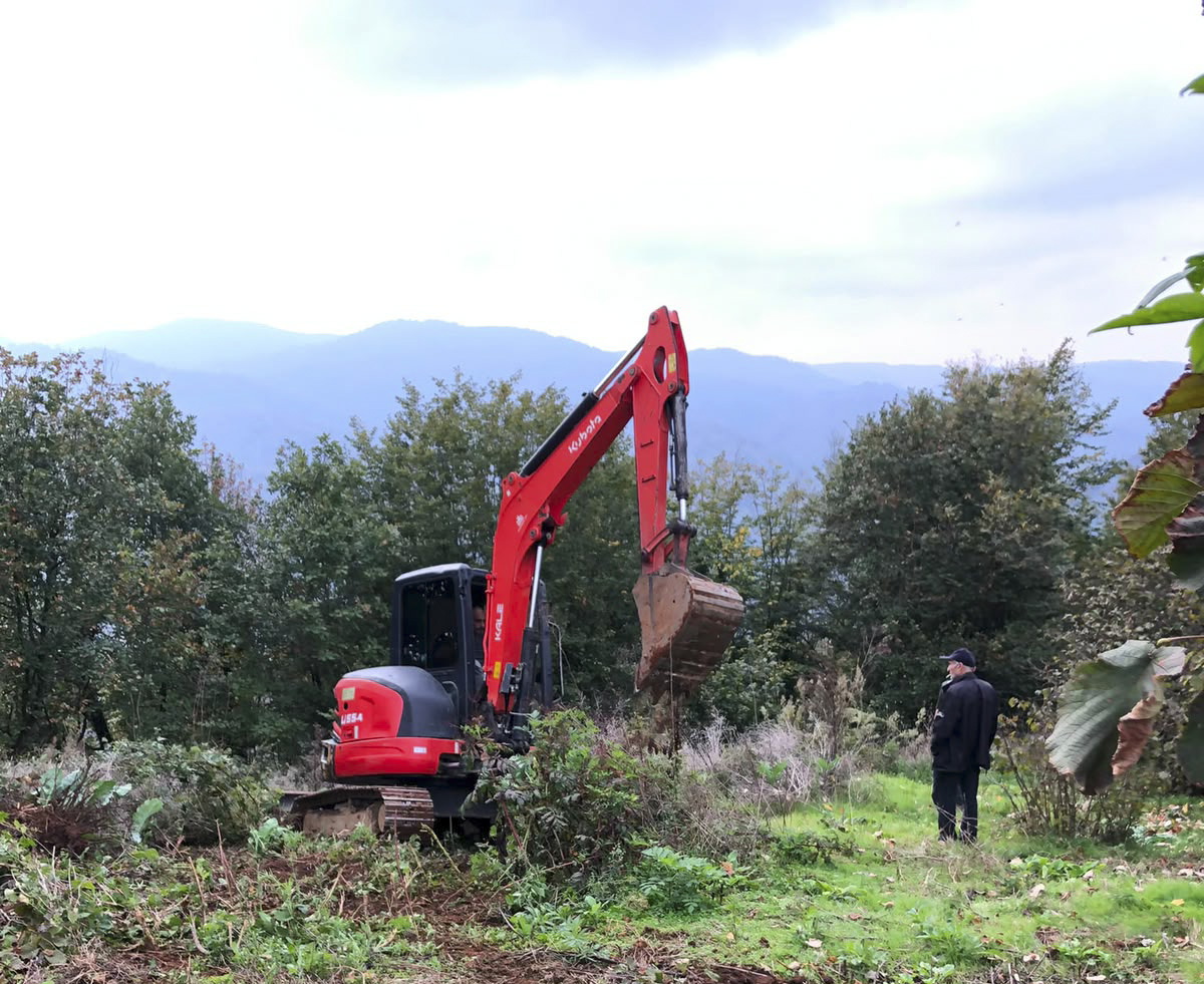 Kocaali’de fındık bahçelerine müdahale tepkisi: 40 hane geçim kaynağını kaybetmekten endişeli